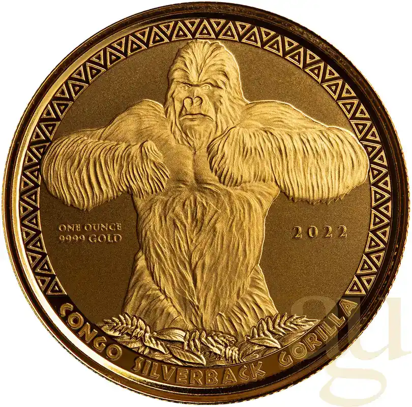 1 Unze Goldmünze Kongo Gorilla 2022 - Sehr beliebt