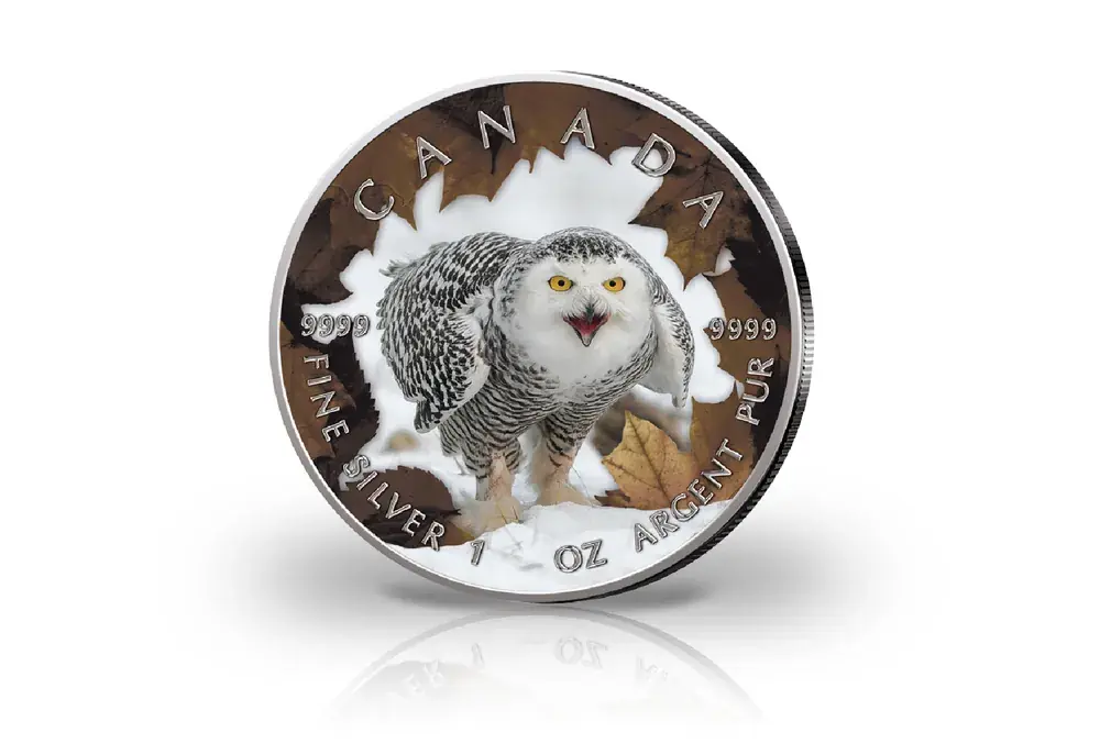Sonderangebot | Maple Leaf 1 oz Silber Jahrgang unserer Wahl Kanada mit Farbmotiv Schnee Eule