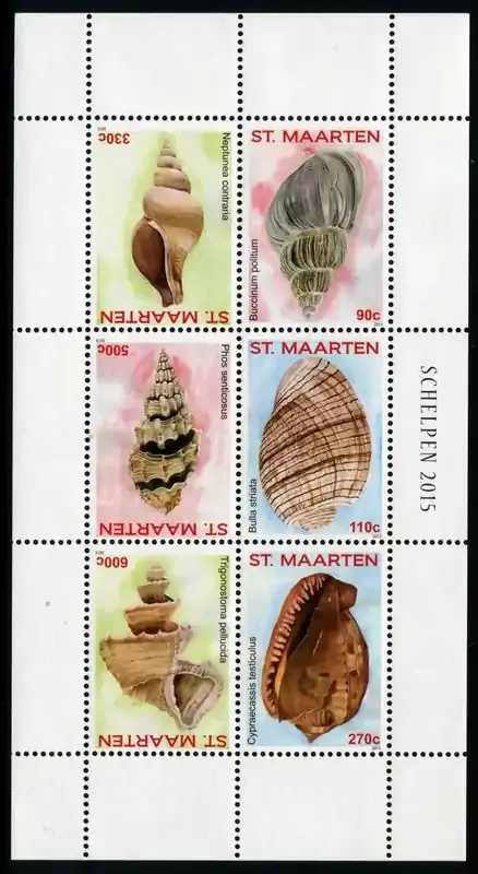 Briefmarken 2015 St. Maarten Muscheln Shells Meerestiere Postfrisch MNH - Mega-Angebot